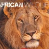 Weingarten African Wildlife Kalender 2025