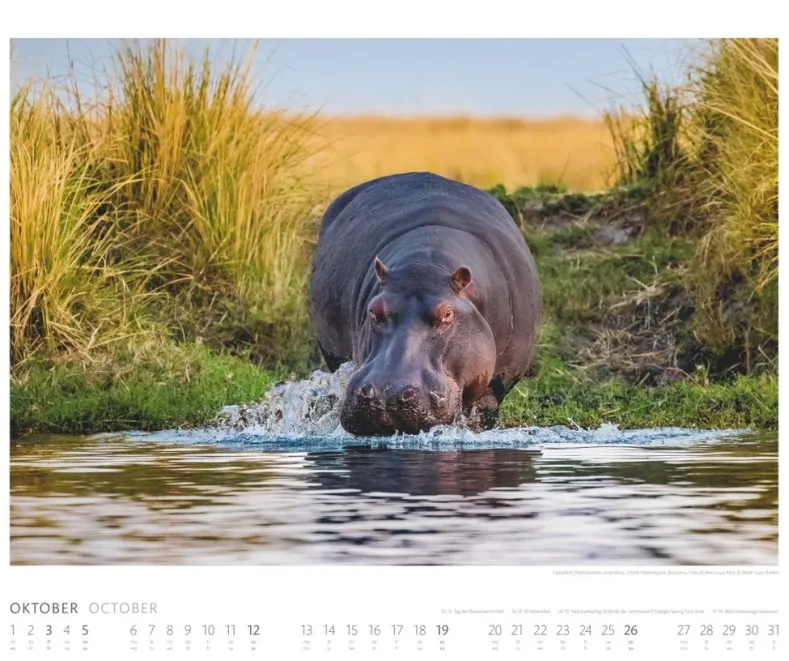 Weingarten African Wildlife Kalender 2025