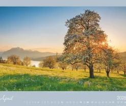 Weingarten Alpen Im Licht Kalender 2025
