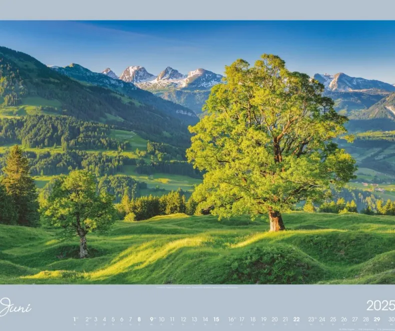 Weingarten Alpen Im Licht Kalender 2025