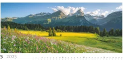 Weingarten Alpenpanorama Kalender 2025