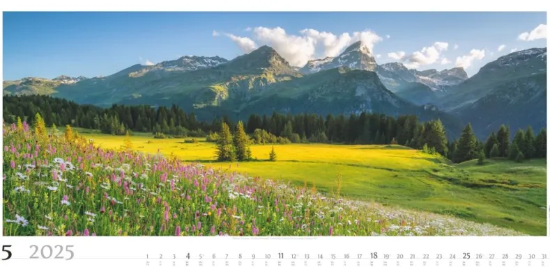 Weingarten Alpenpanorama Kalender 2025