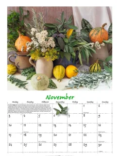 Weingarten Augenschmaus Kalender 2025
