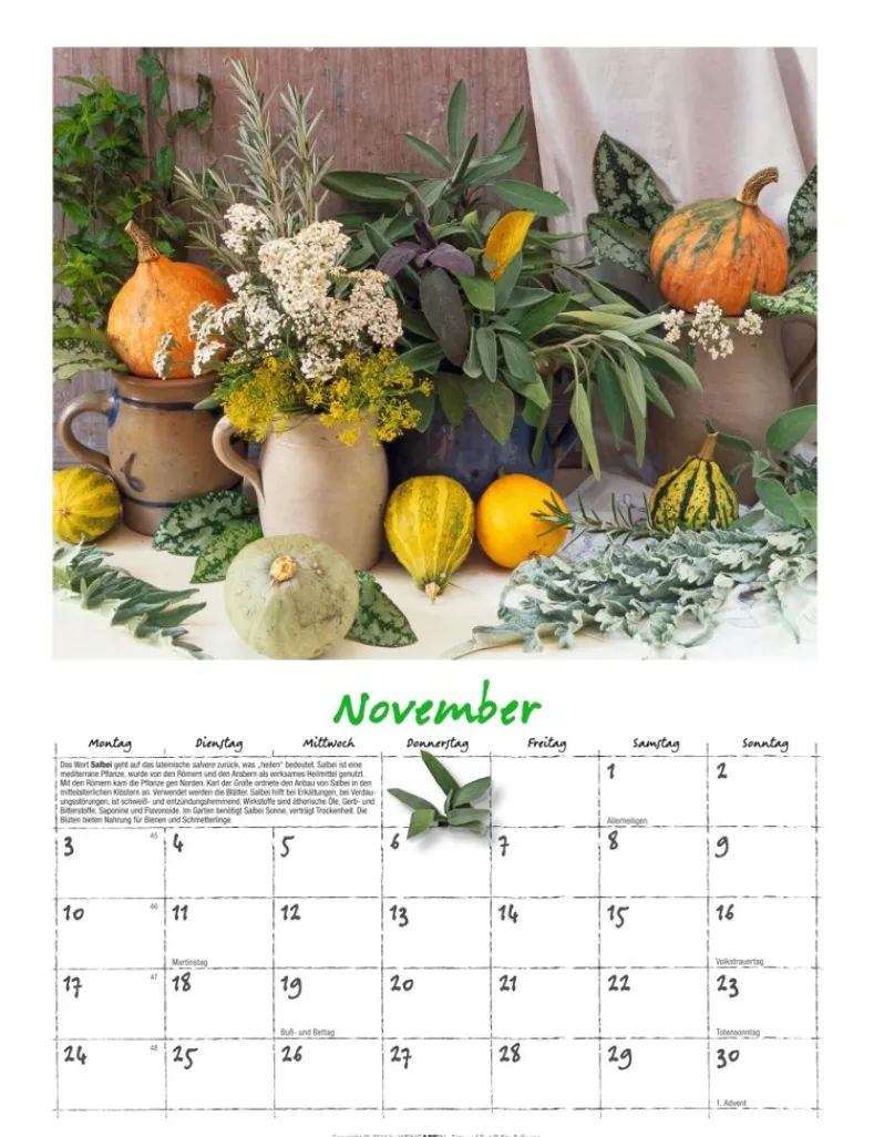 Weingarten Augenschmaus Kalender 2025