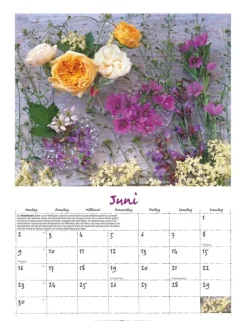 Weingarten Augenschmaus Kalender 2025