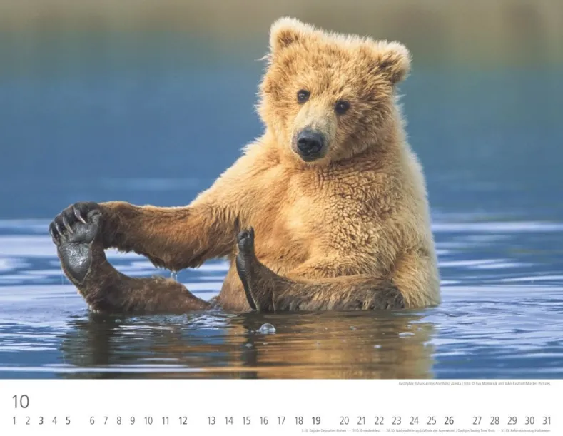 Weingarten Baren Kalender 2025