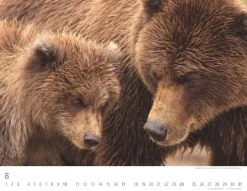 Weingarten Baren Kalender 2025
