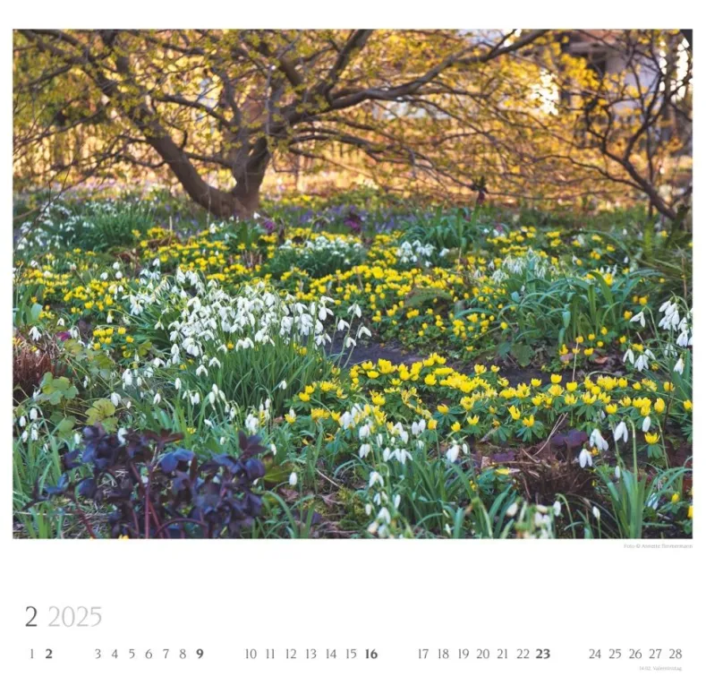 Weingarten Bauerngarten Kalender 2025