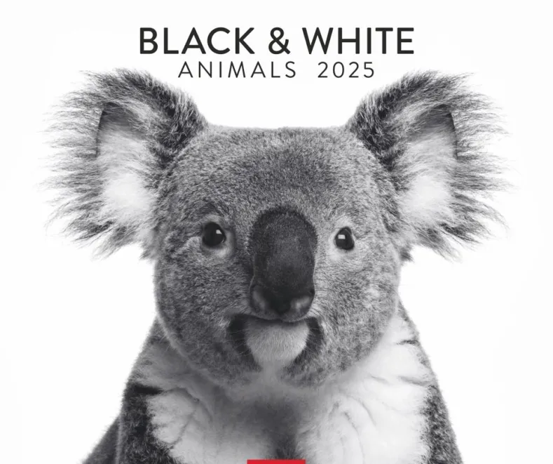 Weingarten Black & White Animals 2025