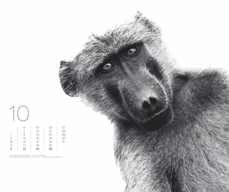 Weingarten Black & White Animals 2025