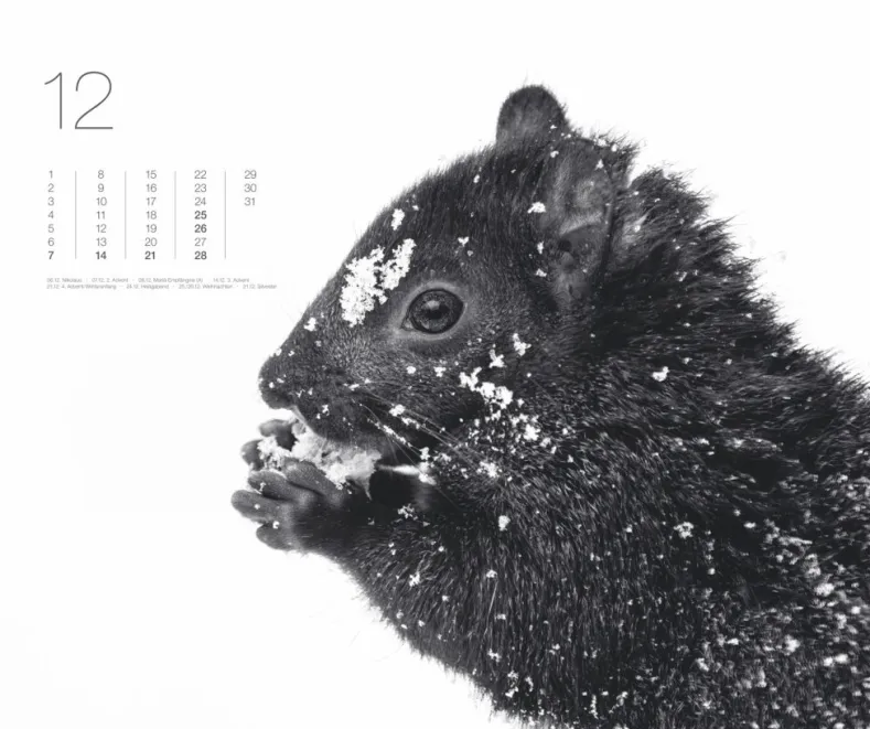 Weingarten Black & White Animals 2025