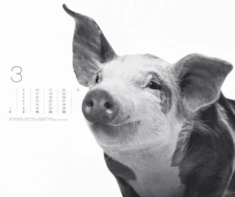 Weingarten Black & White Animals 2025