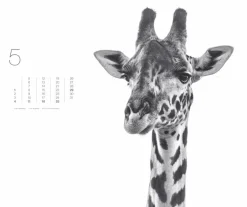 Weingarten Black & White Animals 2025