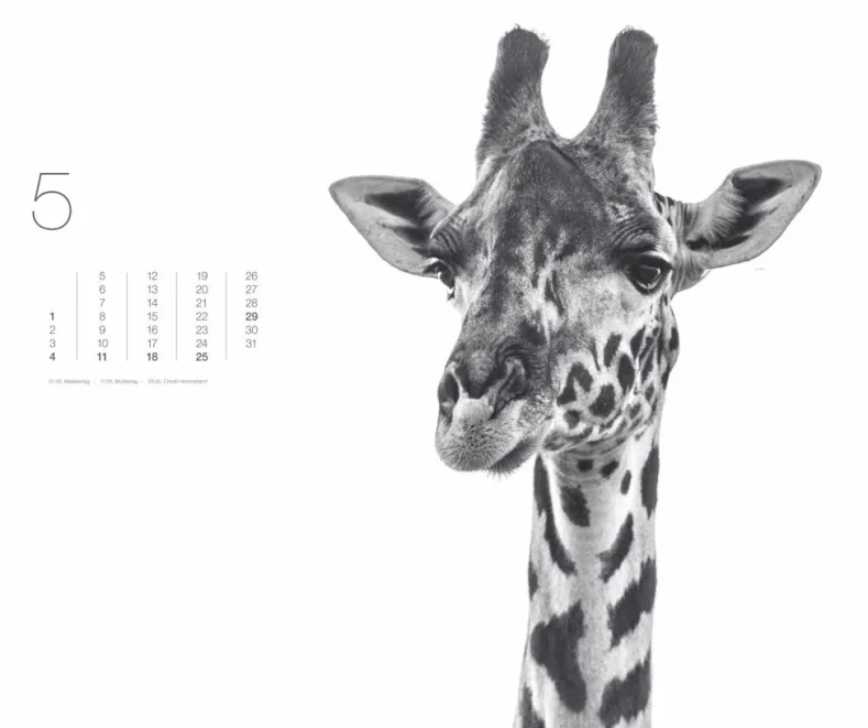 Weingarten Black & White Animals 2025