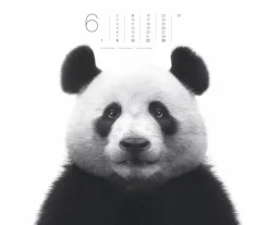 Weingarten Black & White Animals 2025