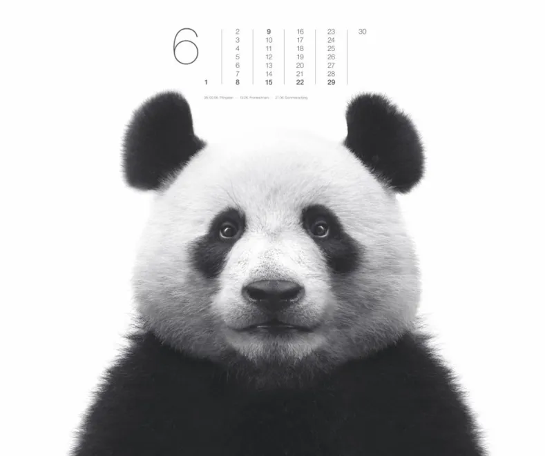 Weingarten Black & White Animals 2025