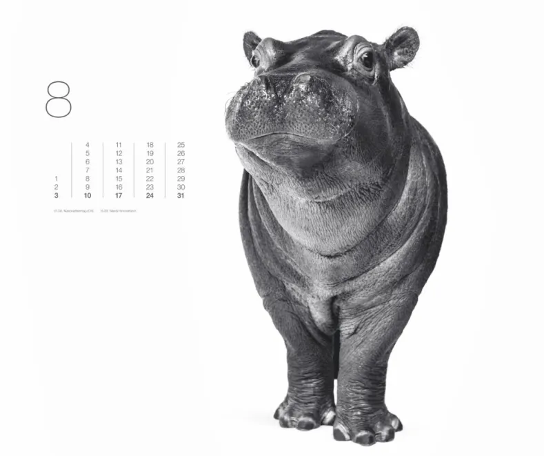 Weingarten Black & White Animals 2025