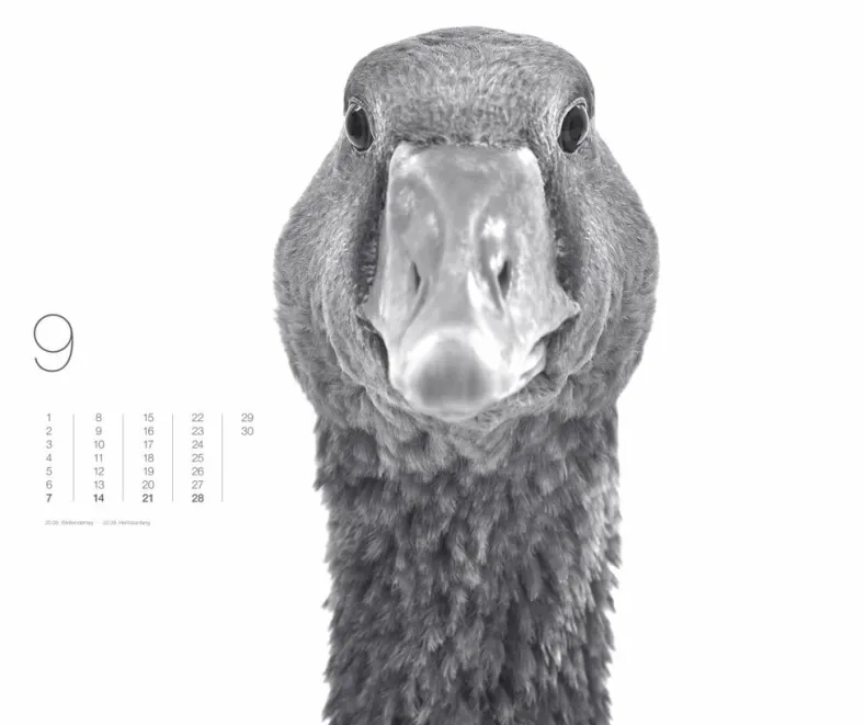 Weingarten Black & White Animals 2025