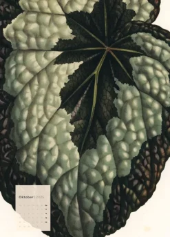 Weingarten Botanicals Kalender 2025