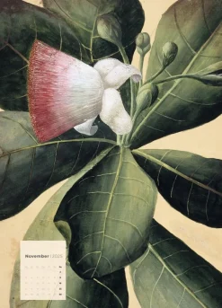 Weingarten Botanicals Kalender 2025