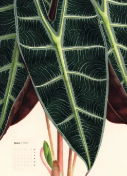 Weingarten Botanicals Kalender 2025