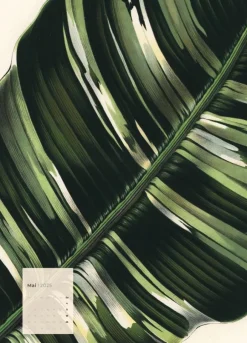 Weingarten Botanicals Kalender 2025