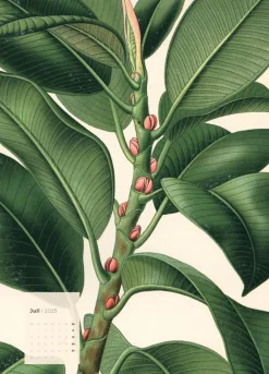 Weingarten Botanicals Kalender 2025