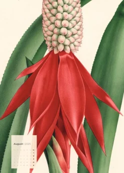Weingarten Botanicals Kalender 2025