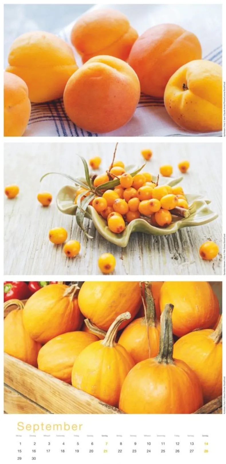 Weingarten Colours Of Food Kalender 2025