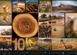 Weingarten Colours Of Nature Kalender 2025