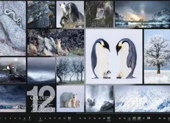Weingarten Colours Of Nature Kalender 2025