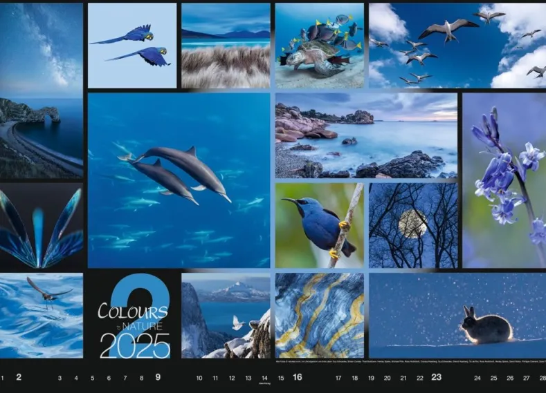 Weingarten Colours Of Nature Kalender 2025