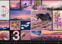 Weingarten Colours Of Nature Kalender 2025