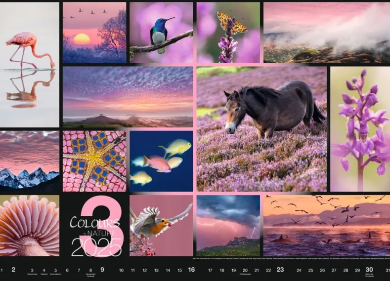 Weingarten Colours Of Nature Kalender 2025