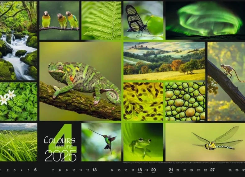Weingarten Colours Of Nature Kalender 2025