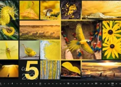 Weingarten Colours Of Nature Kalender 2025