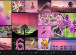 Weingarten Colours Of Nature Kalender 2025