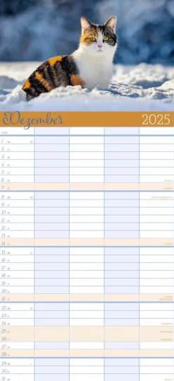 Weingarten Cool Cats Familienplaner 2025