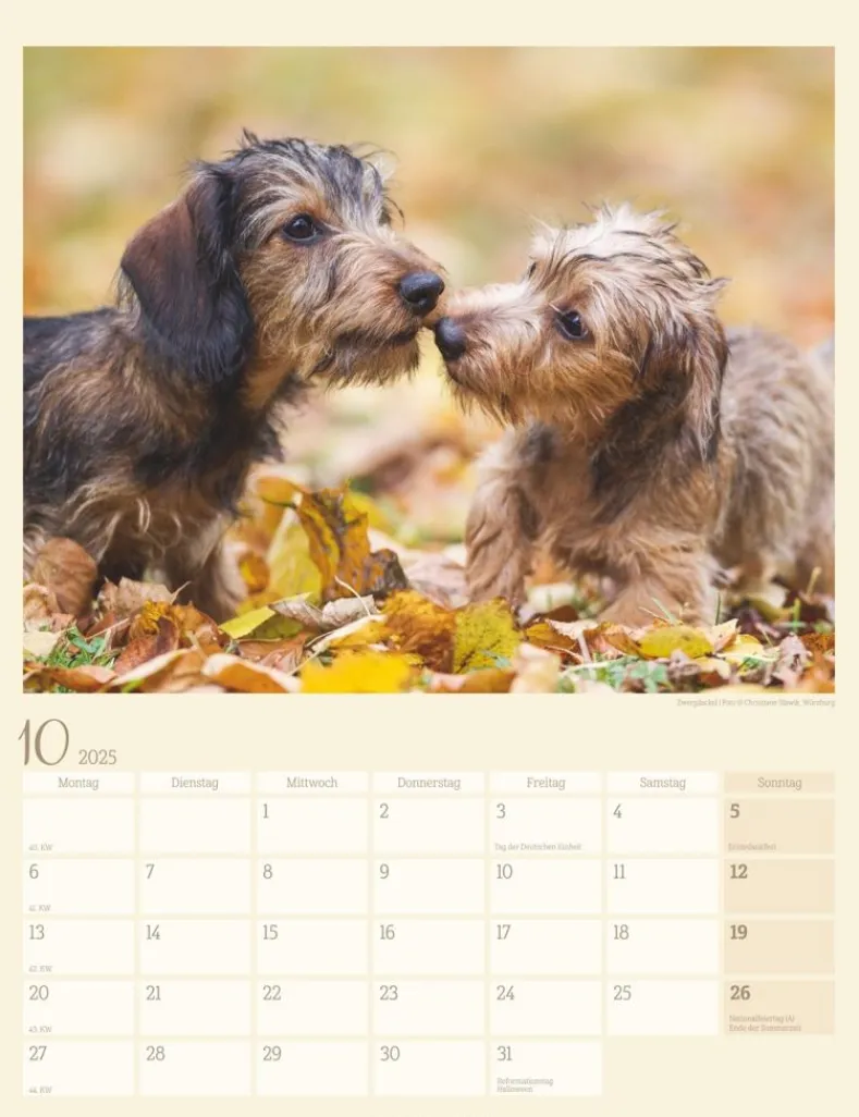 Weingarten Dackel Kalender 2025