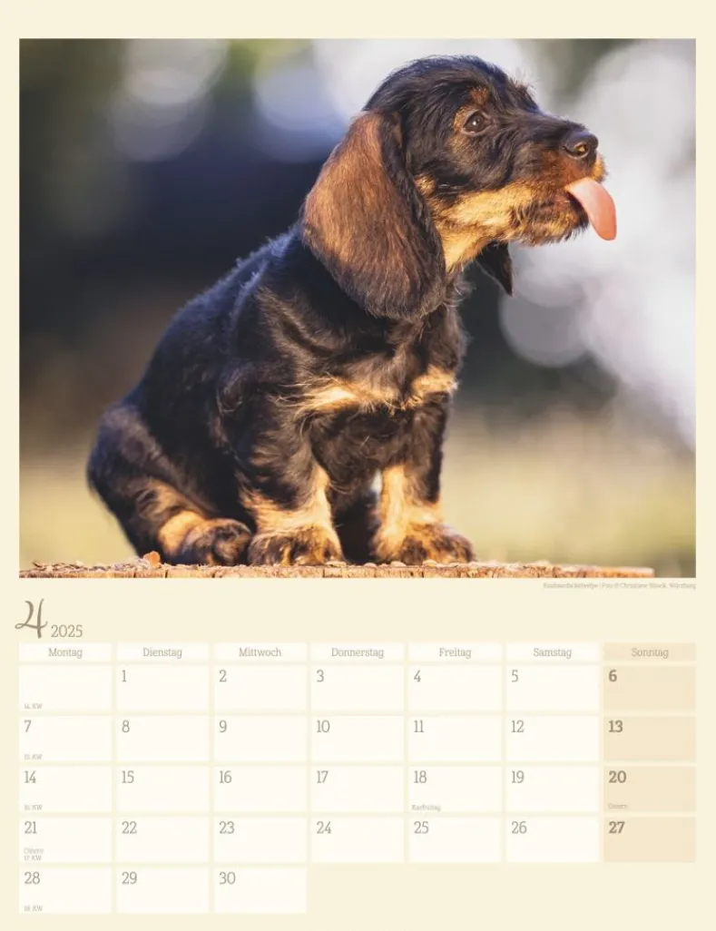 Weingarten Dackel Kalender 2025