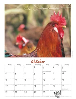 Weingarten Der Huhnerkalender 2025