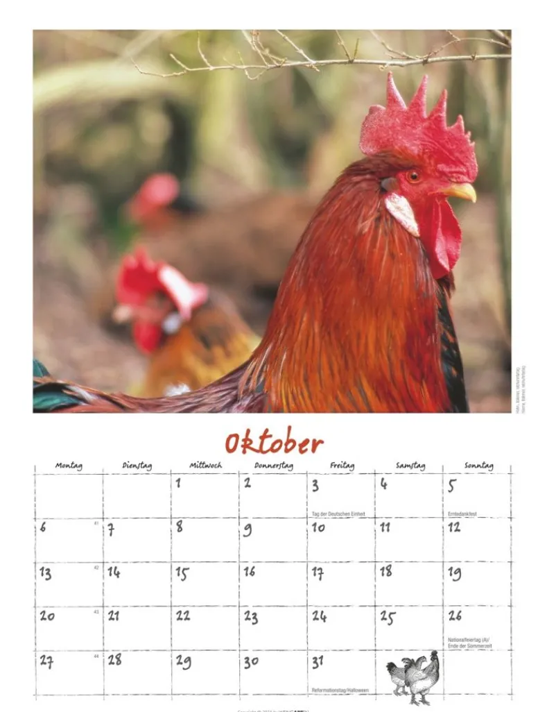 Weingarten Der Huhnerkalender 2025