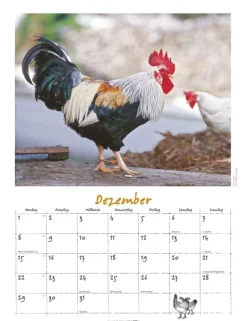 Weingarten Der Huhnerkalender 2025