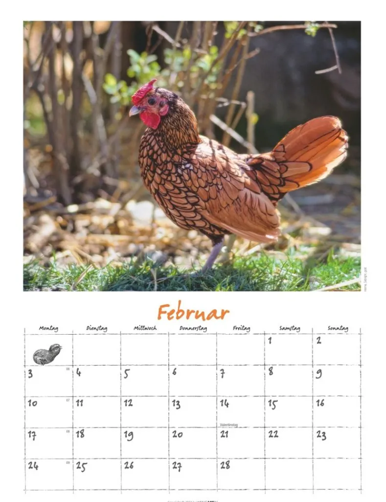 Weingarten Der Huhnerkalender 2025