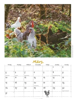 Weingarten Der Huhnerkalender 2025