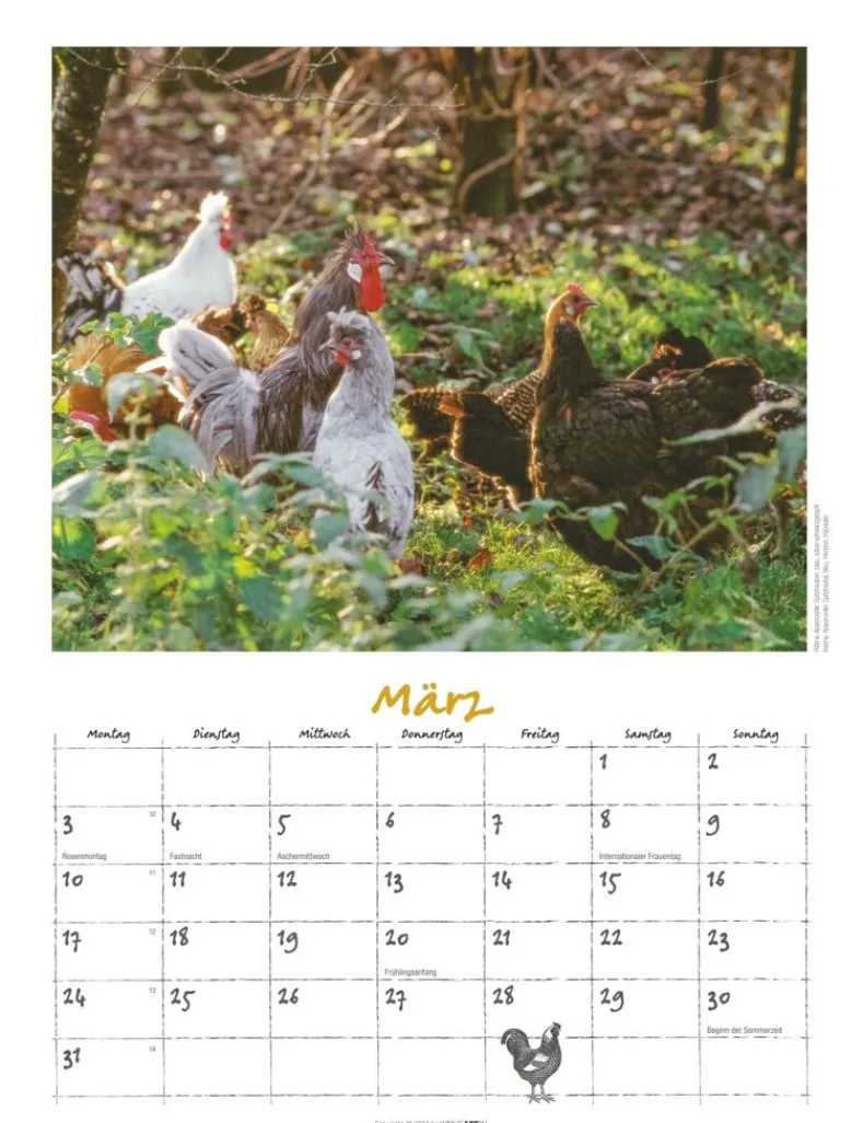 Weingarten Der Huhnerkalender 2025