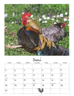 Weingarten Der Huhnerkalender 2025