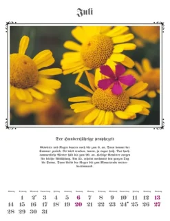 Weingarten Der Hundertjahrige Kalender 2025