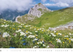 Weingarten Die Berge Kalender 2025