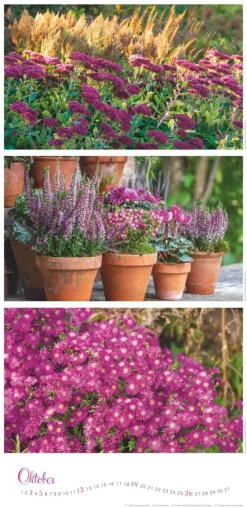 Weingarten Die Farben Der Garten Kalender 2025